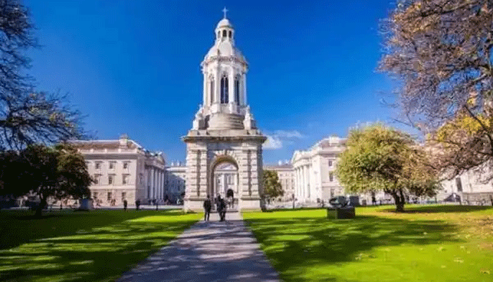 掌握组织管理方法